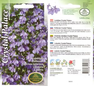 Lobelia "Crystal Palace" KURZEMES SĒKLAS 0,1 g