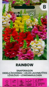 Lõvilõug "Rainbow" Žalia stotele 0,5 g