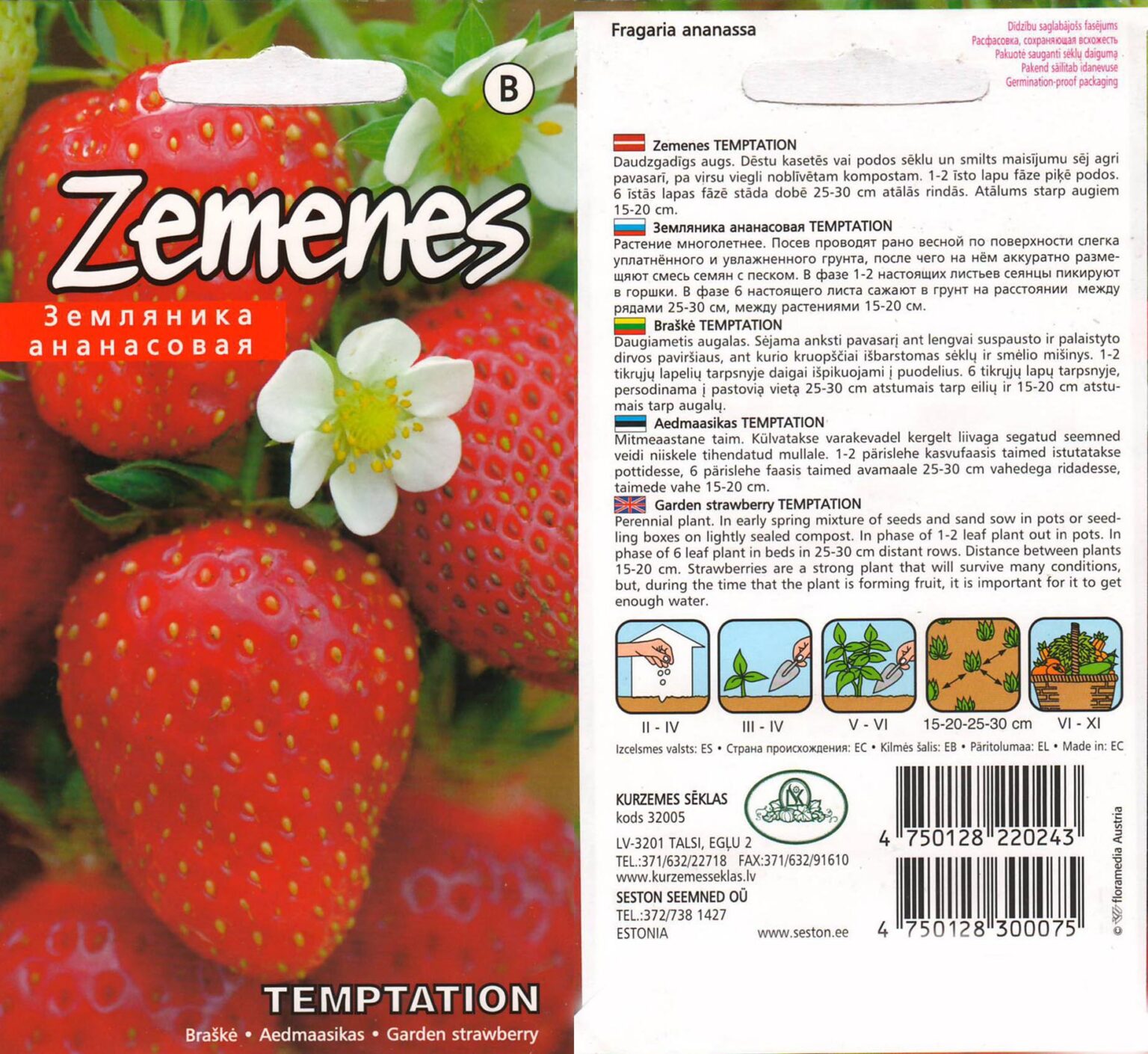 Dārza zemenes "Temptation" 10 gab.