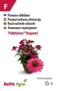 Punane siilkübar "PollyNation Magenta" Baltic Agro 5 s