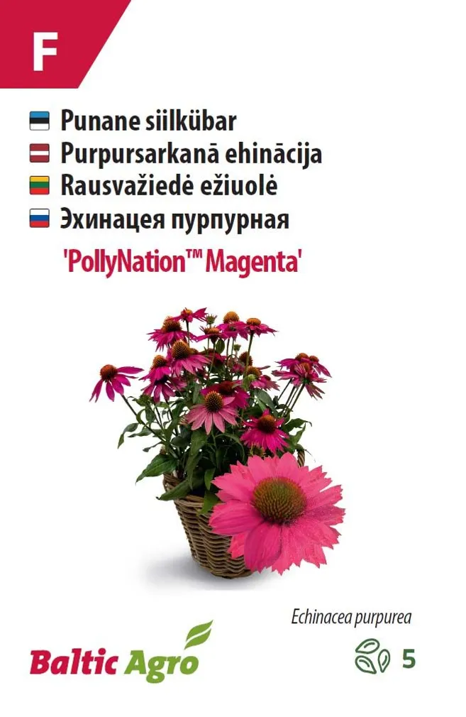 Kaunopunahattu "PollyNation Magenta" Baltic Agro 5 siementä