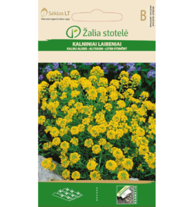 Alyssum montanum Žalia stotele 0,5 g
