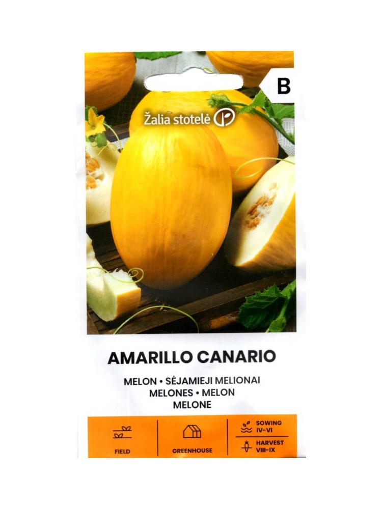 Дыня "Amarillo canario" Žalia stotele 1 г