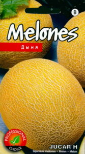 Melon "Jucar H" 5 s.