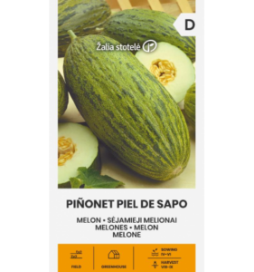 Melon "Pinonet Piel De Sapo" Žalia stotele 1 g