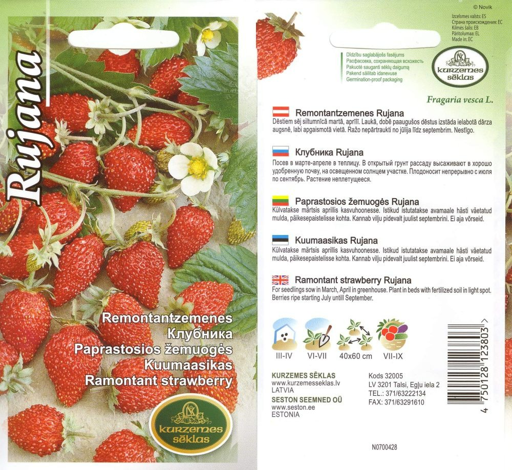 Mēnešzemenes "Rujana" KURZEMES SĒKLAS 0,1 g