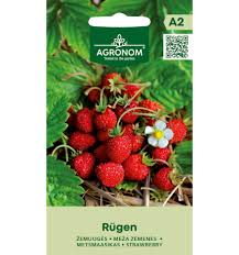 Земляника альпийская "Rügen", 1 г, AGRONOM