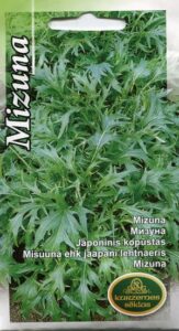 Misuuna KURZEMES SEKLAS 3 g
