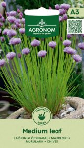Chive Medium leaf AGRONOM 0.5 g