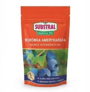 Melleņu mēslojums Substral 350g