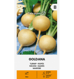 Turnip "Goldana" Žalia stotele 3 g