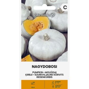 Lielaugļu ķirbis "Nagydobosi" Žalia stotele 2 g