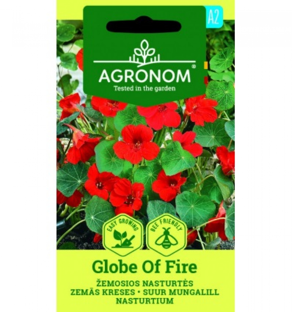 Suur mungalill "Globe of Fire" AGRONOM 2 g
