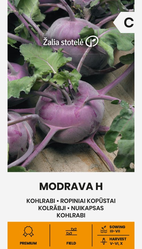 Kohlrabi "Modrava H" Žalia stotele 0.5 g