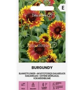Ohtene mõrsjalill "Burgundy" Žalia stotele 0,5 g