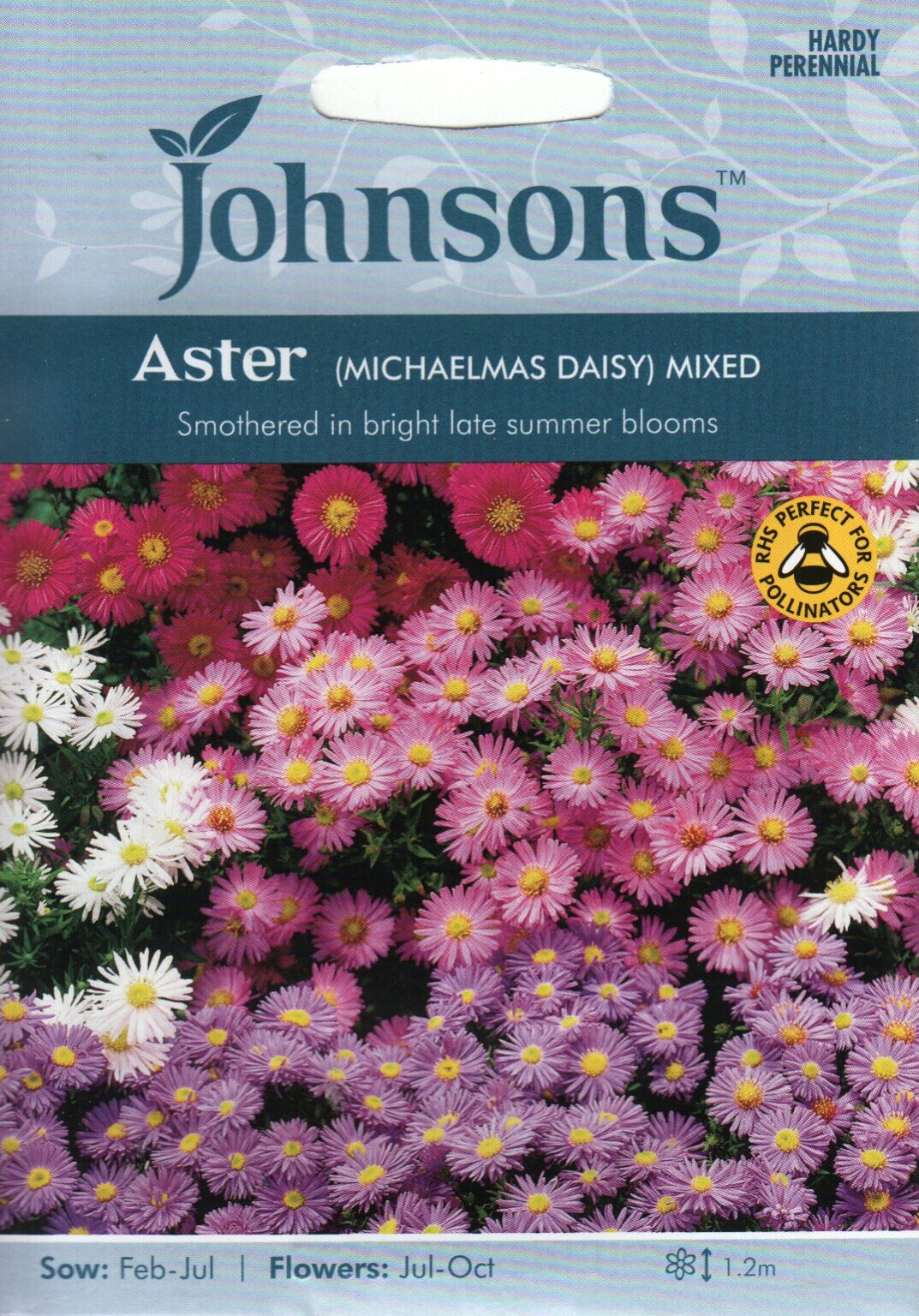 Asteri Johnsons 200 siementä