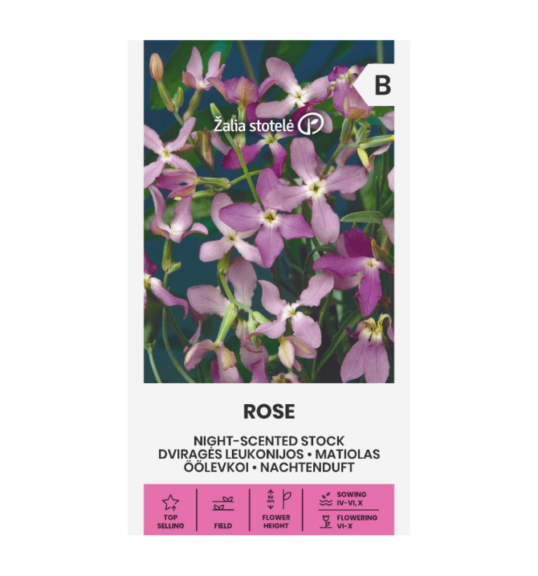 Öölevkoi "Rose" Žalia stotele 1 g