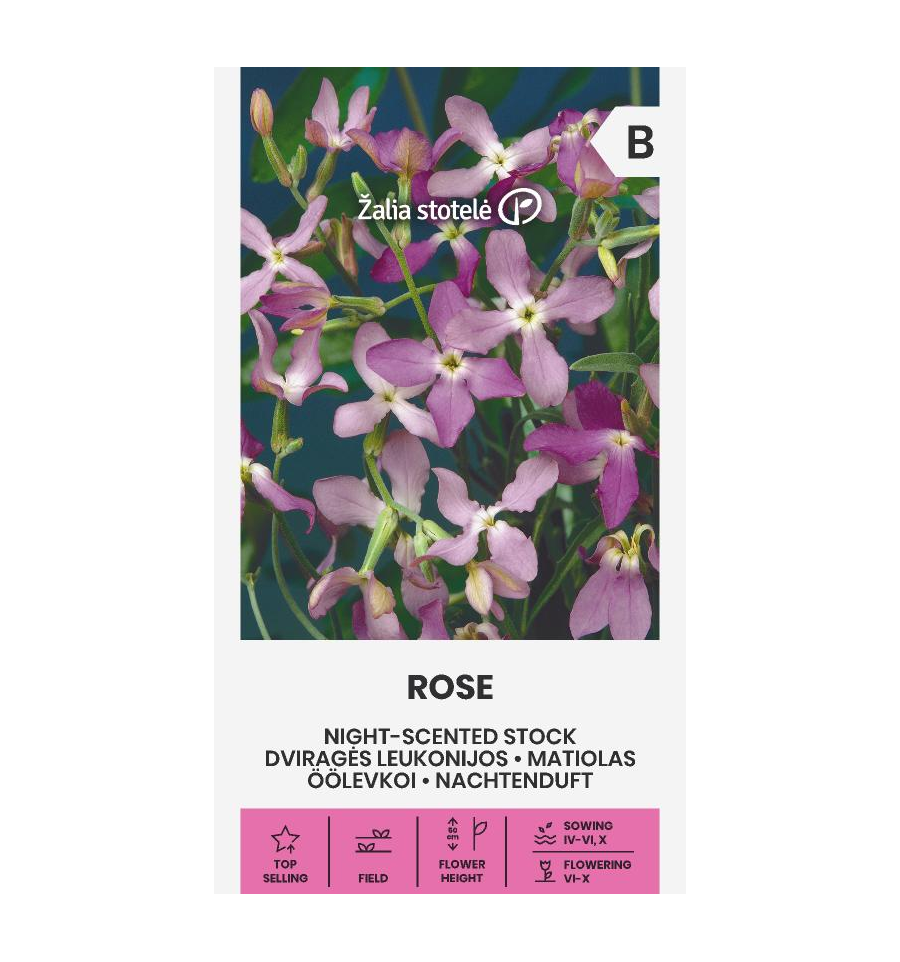 Night-scented stock "Rose" Žalia stotele 1 g