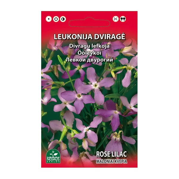 Night-scented stock "Rose Lilac" NOJAUS SEKLOS 0.2 g