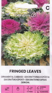Dekoratiivkapsas "Fringed Leaves" Žalia stotele 0,3 g