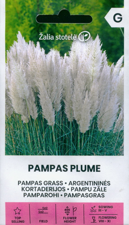 Pamparohi valge "Pampas Plume" Žalia stotele 0,2 g