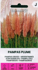 Pamparohi roosa "Pampas Plume" Žalia stotele 0,2 g