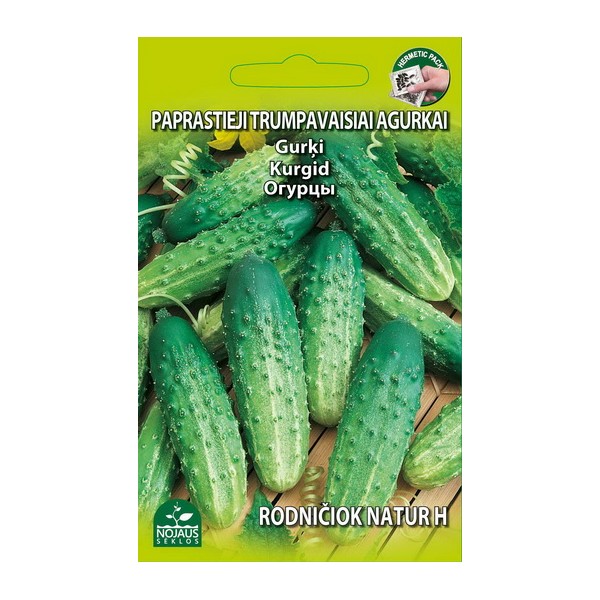 Cucumber Cucumis sativus "Rodniciok Natur F1" seeds, Nojaus 0.5 g