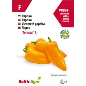 Arbuus "Terazzi F1" Baltic Agro 5 s.