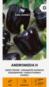 Maguspipar "Andromeda H" Žalia stotele 0,1 g