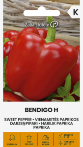 Maguspipar "Bendigo" Žalia stotele 10 s