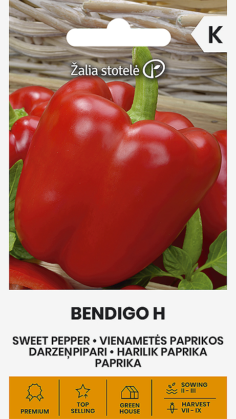 Maguspipar "Bendigo" Žalia stotele 10 s