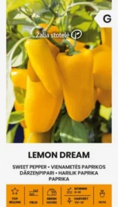 Maguspipar "Lemon Dream" Žalia stotele 0,1 g