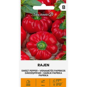 Maguspipar "Rajen" Žalia stotele 0,1 g