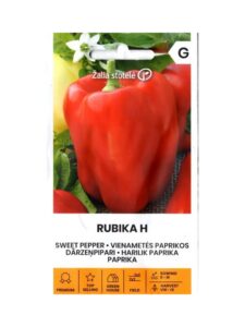 Maguspipar "Rubika H" Žalia stotele 0,1 g