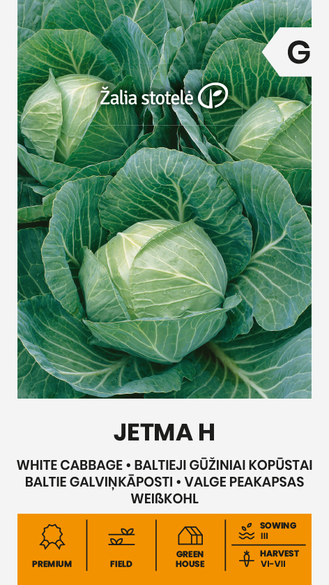 Baltasis gūžinis kopūstas "Jetma H" Žalia stotele 0,1 g