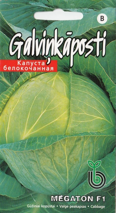 Valge peakapsas "Megaton F1" 30 s.
