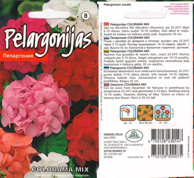 Pelargoonia "Colorama mix" KURZEMES SĒKLAS 0,1 g