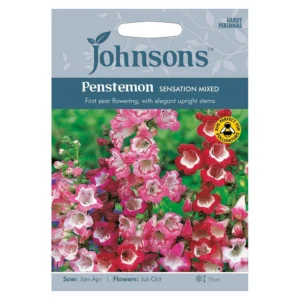 Emajuurjas peekerlill (Penstemon) Johnsons 500 s.