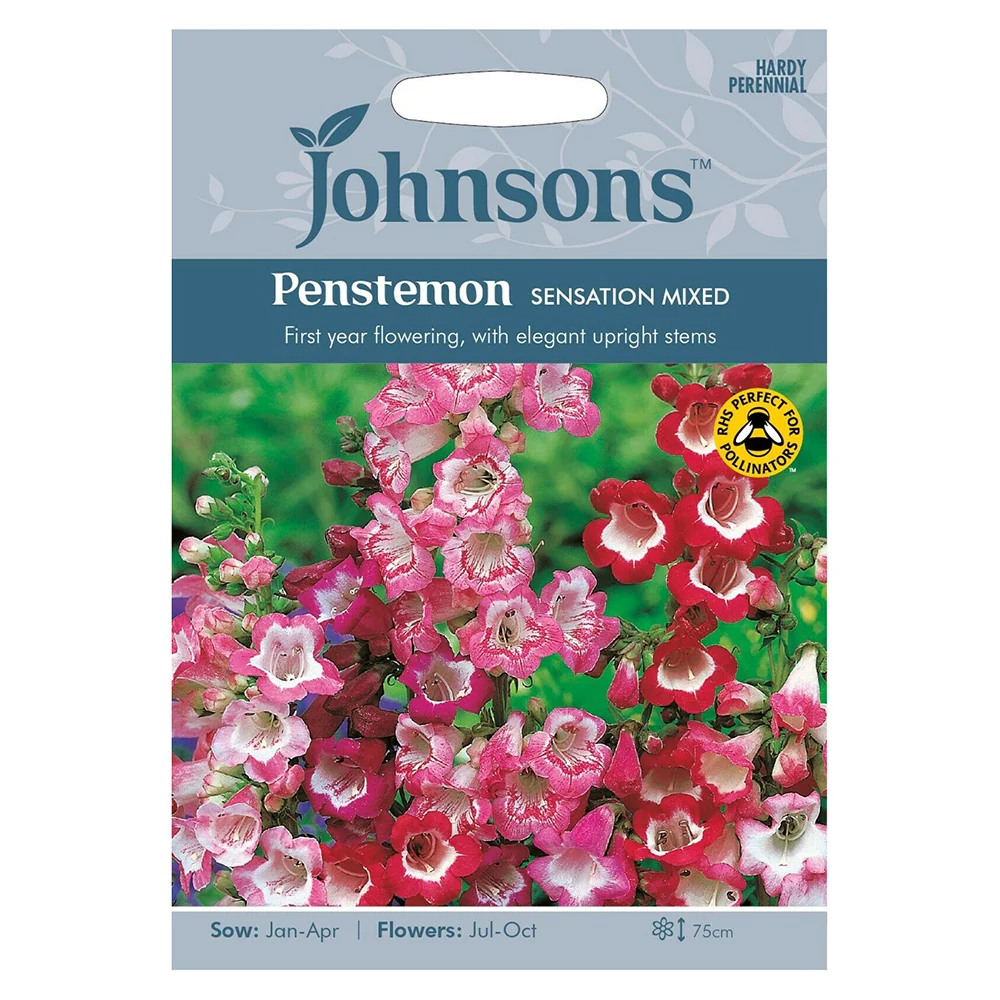Penstemon Johnsons 500 seeds