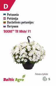 Petuunia "Boom! TR White" F1 Baltic Agro 5 s.