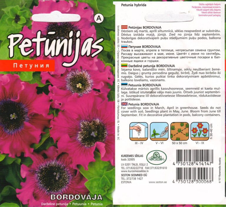 Petuunia "Bordovaja" 15 s.