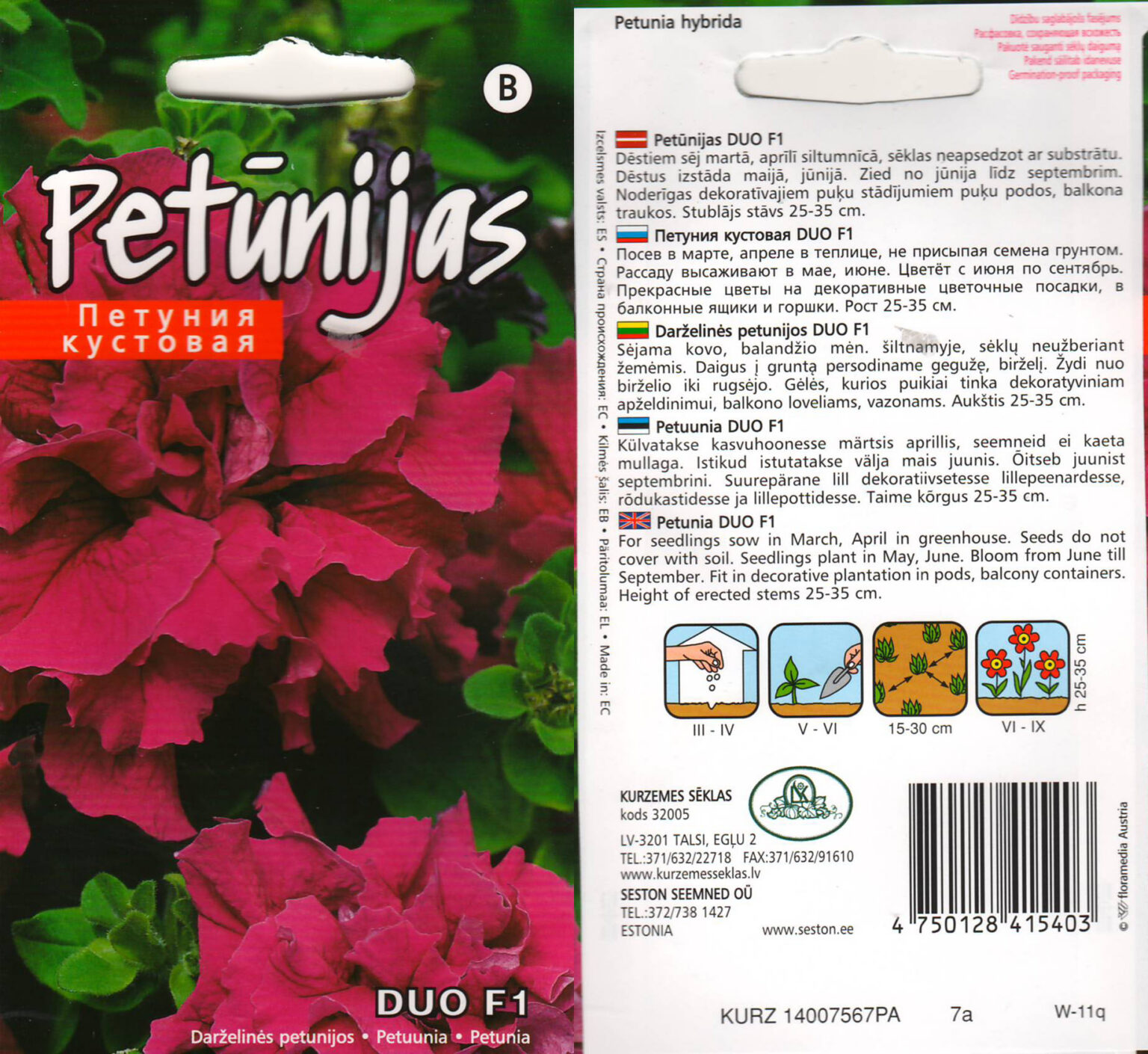 Petuunia "Duo F1 Burgundy" KURZEMES SĒKLAS 15 s
