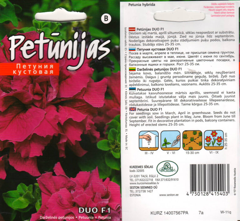 Petuunia "Duo F1 Burgundy" KURZEMES SĒKLAS 15 s