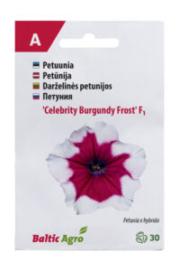 Petuunia "Celebrity Burgundy Frost" F1 Baltic Agro 30 s.