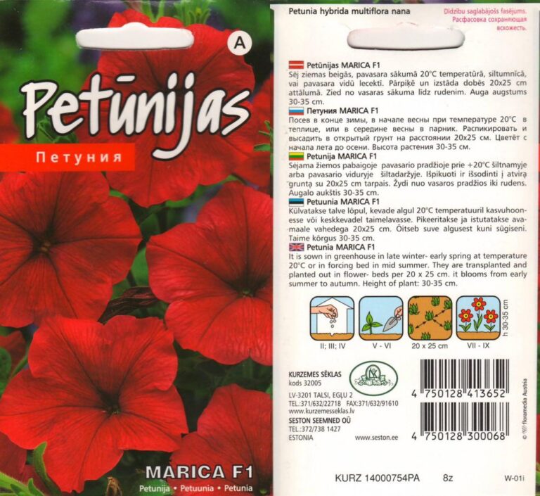 Petuunia "Marica" F1 Seston 15 s