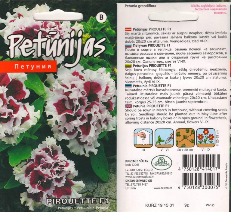 Petuunia "Pirouette F1" KURZEMES SĒKLAS 15 s.