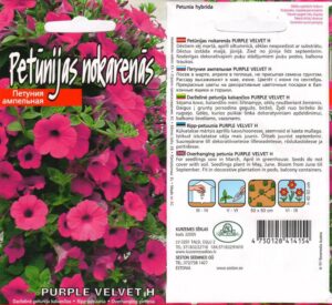 Ripp-petuunia "PURPLE VELVET H" KURZEMES SĒKLAS 15 seemet