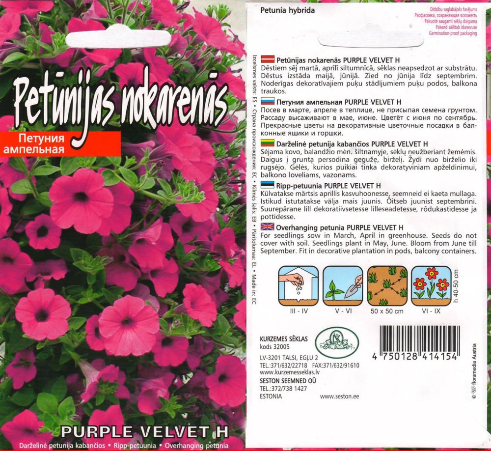 Hanging petunia "PURPLE VELVET H" KURZEMES SĒKLAS 15 seeds
