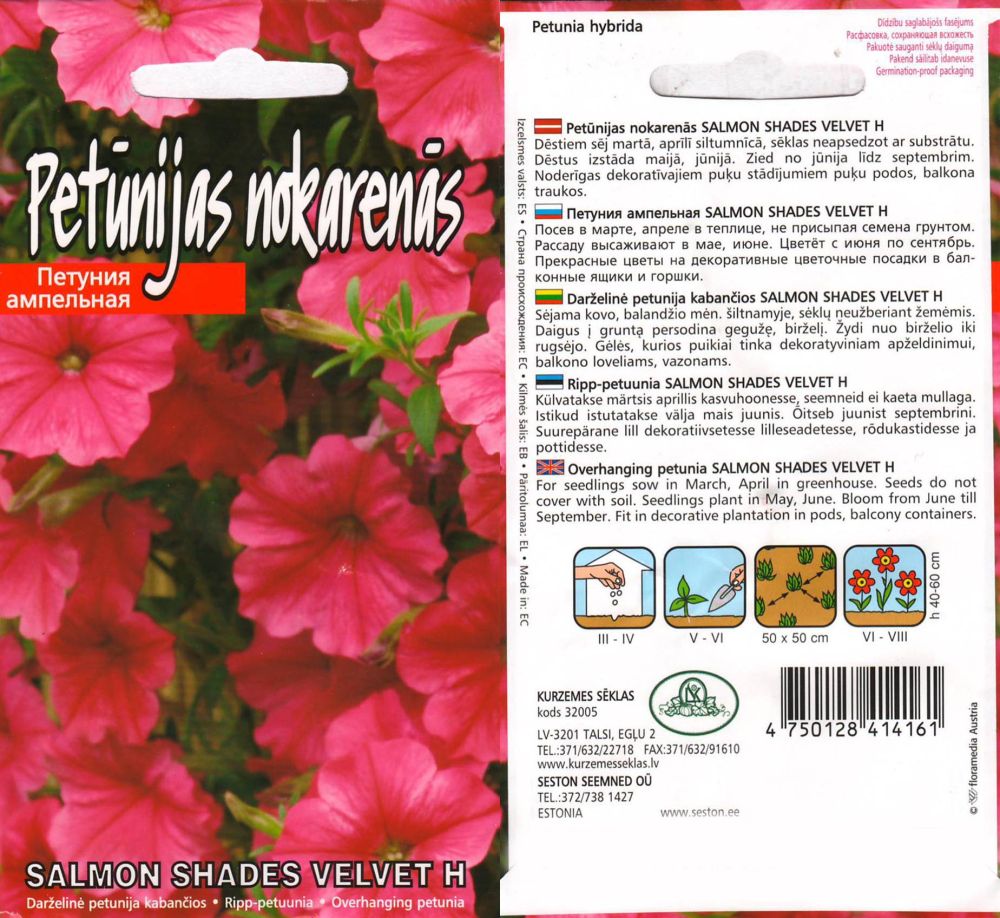 Hanging petunia "Salmon Shades Velvet F1" KURZEMES SĒKLAS 15 seeds