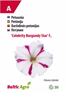Petuunia "Celebrity Burgundy Star" F1 Baltic Agro 30 s